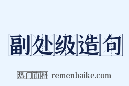 副处级造句是什么意思的图片